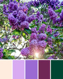 Lilacs on the Farm | 18x24 Original Abstract Painting